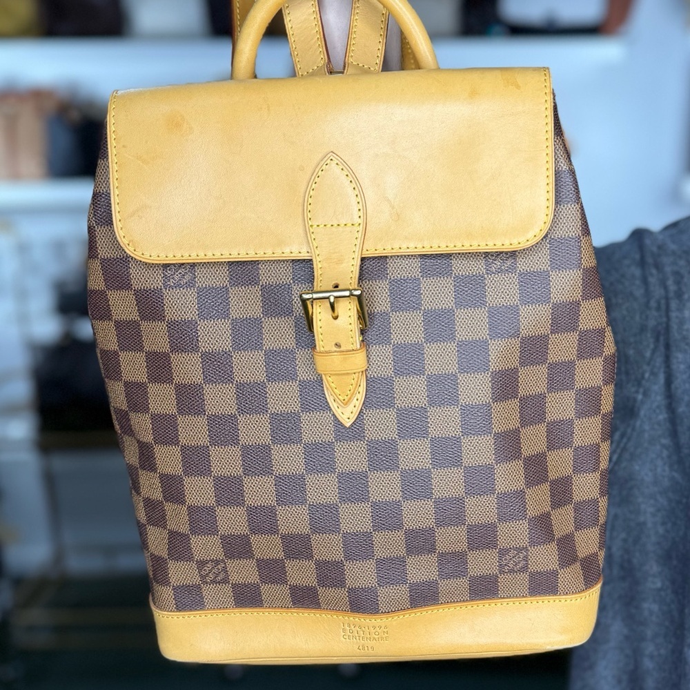 lv damier ebene backpack